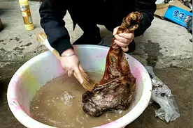 湖北农村烟熏一年的腊猪脚这样做一只都不够吃。视频封面