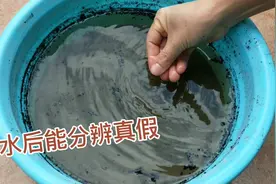 真的草木灰浸泡水后，水会有什么变化？快进来看看