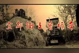 《宜都街上看稀奇》高清MV视频封面