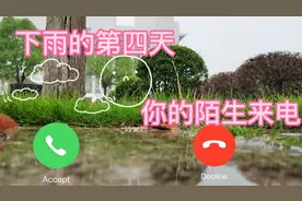 梅雨季节的雨+糟糕的心情=？？？日常不开心系列视频封面