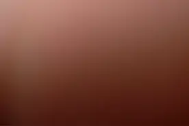 纯绿色金丝大皇菊视频封面