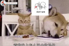 女朋友生气了，但是男朋友还毫无察觉