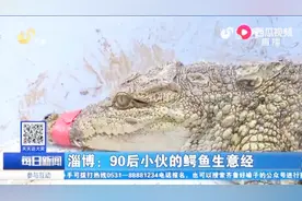 刺激！山东淄博一90后小伙养鳄鱼致富，一斤肉最高可卖60元视频封面