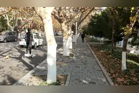 山东工商学院东校区视频封面