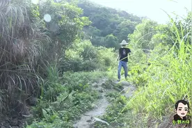 家里的老母猪去了一趟大山，回来时带一窝野猪崽，小伙乐坏了视频封面