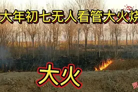 大年初七遇到无人看管的树林突发大火，该离开还是报警？视频封面
