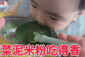 偏爱蔬菜泥的宝宝吃辅食好费劲，宝妈犹豫六个半月安排两顿辅食视频封面
