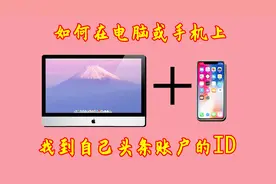 如何在电脑或手机上找到自己头条账户的ID视频封面