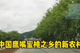 广东105国道边上，中国鹰嘴蜜桃之乡，乡村振兴下的农村变化视频封面