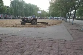 河南农村的拖拉机碾场，这样的收麦方式你多久没见了？满满的乡愁