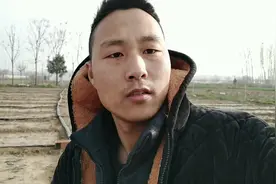 都说宿迁树苗假货多，听听当地小伙怎么说视频封面
