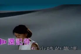80后阿姨KTV必唱歌曲