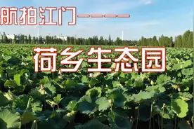 航拍江门——荷乡生态园 20200621视频封面