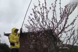钓鱼：三目浮漂慢慢没入水中，大鱼终于咬钩了