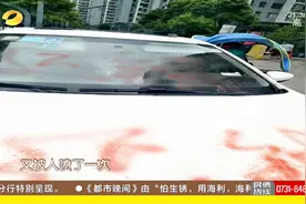 阳光100成立业委会为何如此难？物业声明只要投弃权票，100元1票视频封面