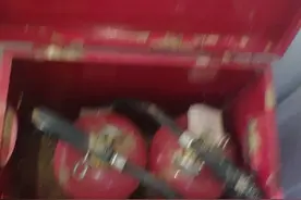 吃蟑螂的蜘蛛，有认识的么。