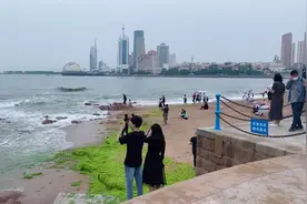 6月18日青岛第六浴场的浒苔基本清理干净，少量残留，游客依然