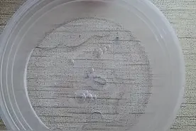 无硼砂指甲油。干了还可以撕掉哦。特别适合学生党。视频封面