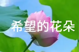 让生命绽放美丽视频封面
