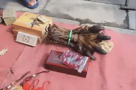 古玩市场遇到卖老虎爪的，要价3000元，是不是假的？视频封面