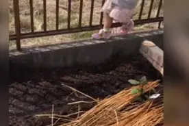 原来“雅蠛蝶”在日本是常用语！