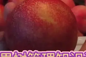 油桃色泽，亮度，果锈，如何管理视频封面