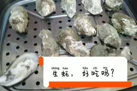 生蚝清蒸吃，只需几分钟就可以吃到美味，不费吹灰之力，制作简单视频封面