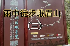 在仙峰寺修整一晚，第二天早上继续徒步峨眉山，沿途遇见很多猴子视频封面