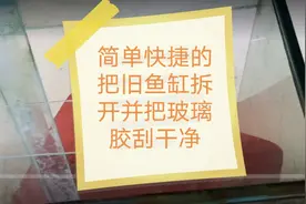 拆开旧鱼缸也不是什么难事，用几个小工具还可以简单的去除玻璃胶视频封面