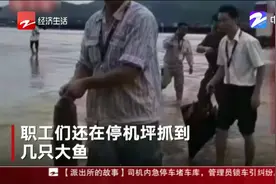 7月10日朋友圈热搜