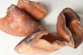 为什么农村杀猪后，人们争着去收集猪指甲壳？有什么秘密吗？视频封面