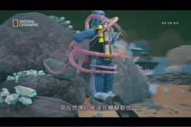 【极限逃生】潜水时被巨大章鱼攻击怎么办？！视频封面