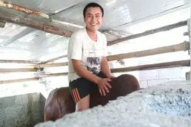 小伙养了这头公牛既然还可以骑，他是怎么培养出来呢视频封面