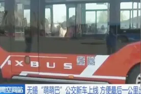 无锡最萌公交车上线！体积小巧可爱，还解决最后一公里难题！视频封面