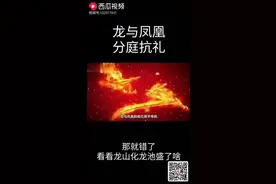 龙与凤凰
分庭抗礼视频封面
