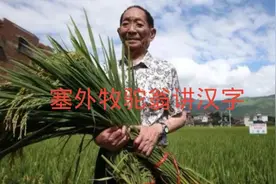 【每日汉字：禾】皇帝的江山社稷，究竟什么是社稷？视频封面