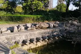 一条清澈见底的人造龙型人工湖，绿水滔滔不绝。