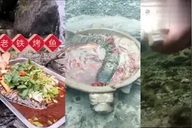 户外美食：万州烤鱼的制作方式，石板金针菇也杠杠的视频封面