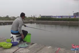 李大毛对决三级竞钓大师，自己稳扎稳打，却用言语打乱对方节奏视频封面