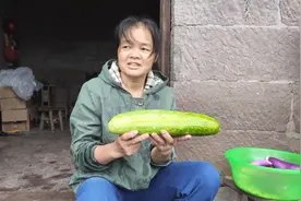 菜地里种出一个超大号黄瓜，三嬢这样做素菜变荤菜，一盆都不够吃