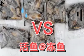 老头鱼这天冻住还能活吗视频封面