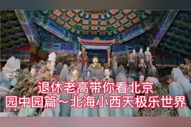 退休老高带你看北京园中园篇～北海小西天（极乐世界）视频封面