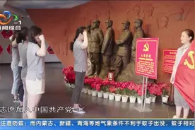 武汉抗战第一村：红色旅游显生机视频封面
