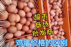 揭秘超市，商场，批发市场鸡蛋的价格，批发市场是最便宜的吗？视频封面