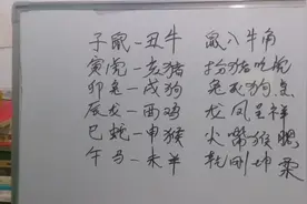 十二生肖中的六合