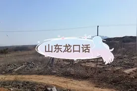 山东龙口家乡话，全程不加字幕，都说这话好听，你能听懂几句？
