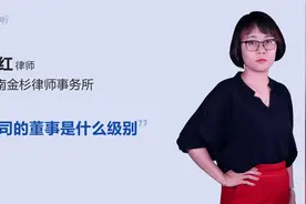 公司的董事是什么级别