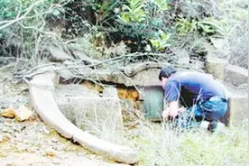守墓人死守千年古墓，不让专家考察，得知墓主身份，轰动考古界视频封面