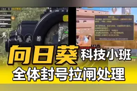 向日葵封号后续，不思悔改，嚣张跋扈，官方再度出手视频封面