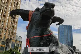 绵阳水中神兽你见过吗？视频封面